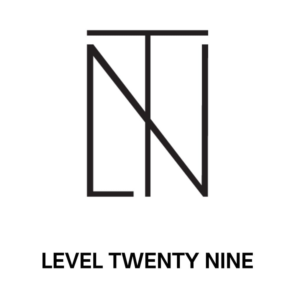 Level Twenty Nine logo - black text on white background